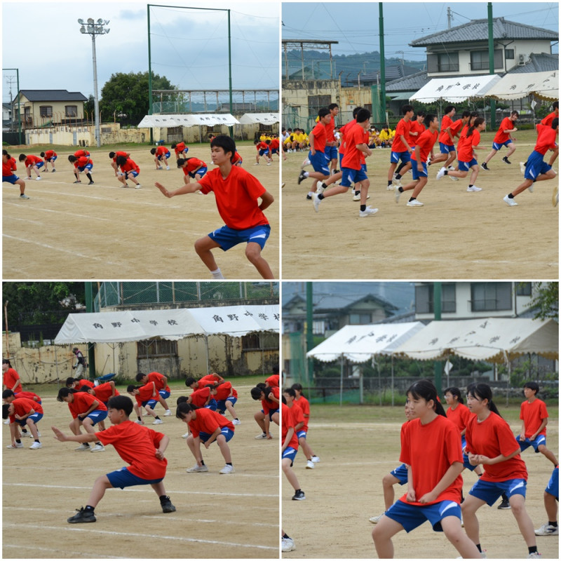エール赤